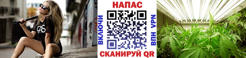 где продают наркотики  Шелехов  hydra ONION  Каннабис тримм 